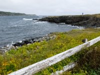 IMG_2456r