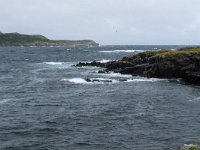 IMG_2458r