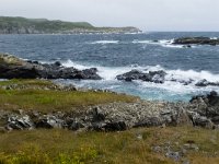IMG_2462r