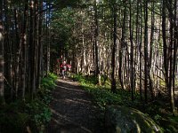 IMG_3580r