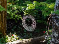 IMG_3593r
