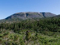 IMG_3595r