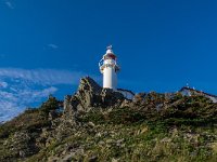 IMG_3414r