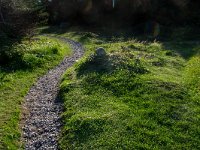 IMG_3421r