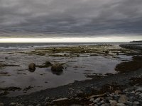IMG_3540r