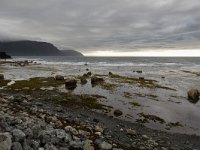 IMG_3543r