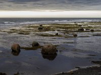 IMG_3551r