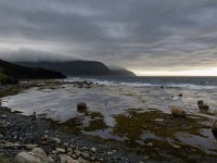 IMG_3556r