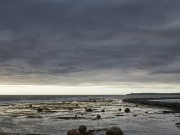 IMG_3569r