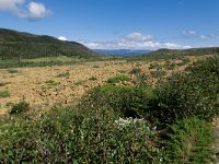 IMG_2916r