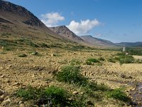 IMG_2920r