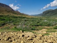 IMG_2933r