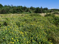 IMG_3061r