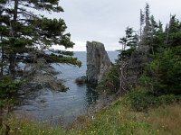 IMG_2207r
