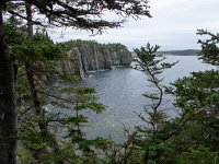 IMG_2208r