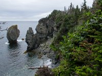 IMG_2212r