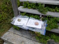 IMG_2066r