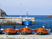 IMG_2781r