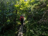 IMG_2798r
