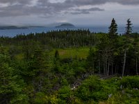 IMG_2183r