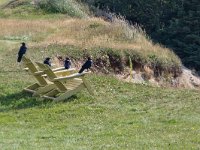 IMG_2037r-2
