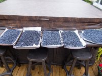 IMG_2774r